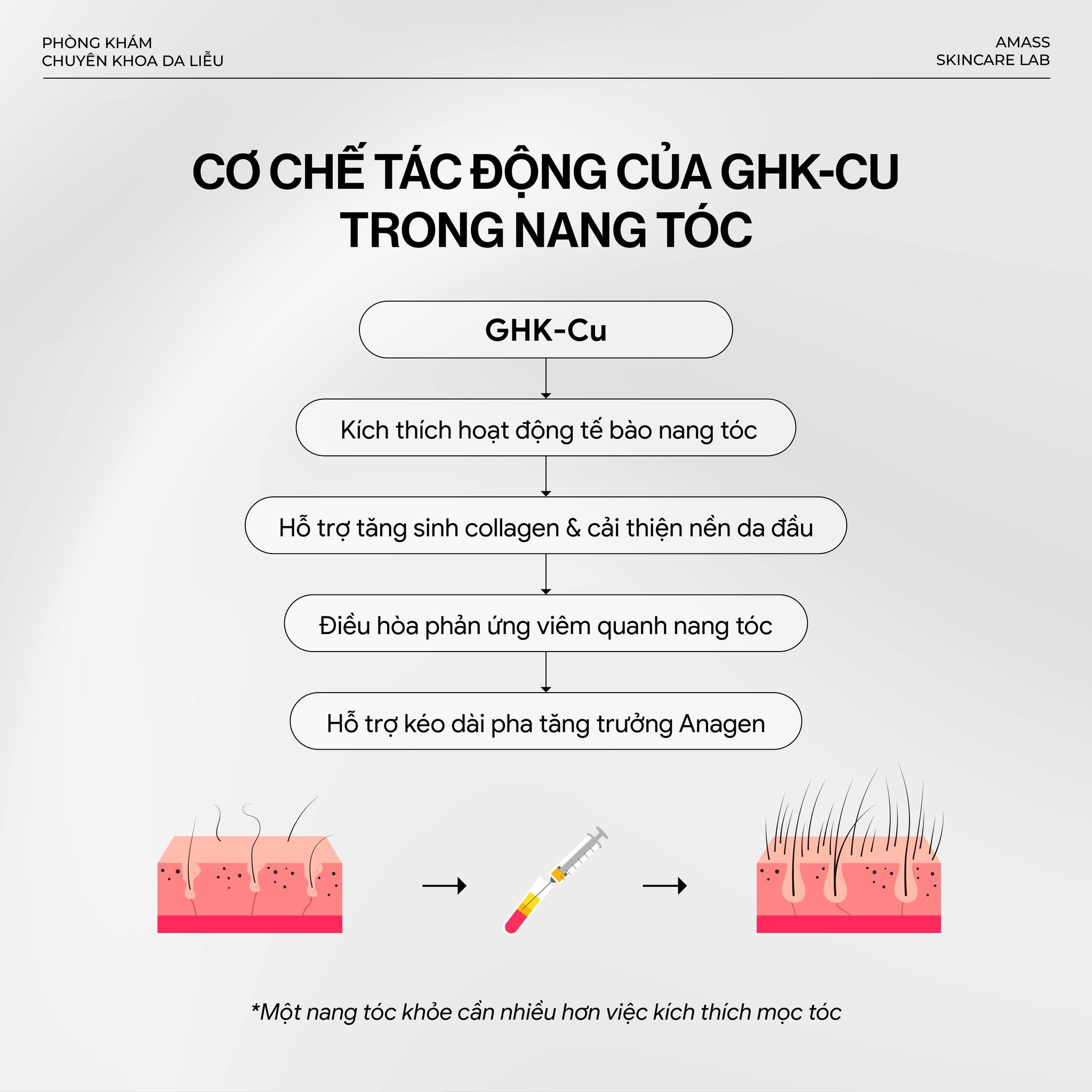 sơ đồ cơ chế sinh học của hoạt chất Peptide GHK-Cu trị rụng tóc